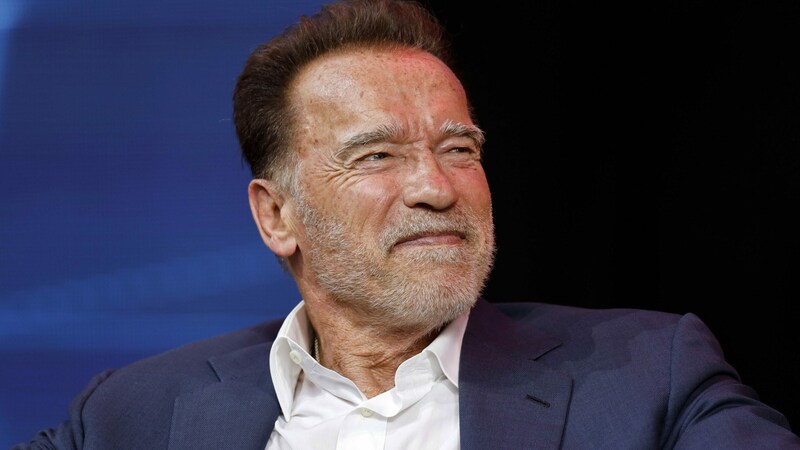 Arnold Schwarzenegger (Bild: Christoph Hardt / Action Press / picturedesk.com)