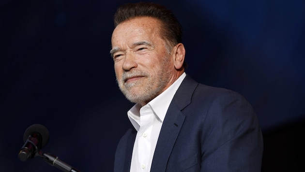 Arnold Schwarzenegger setzte ein berührendes Facebook-Posting ab. (Bild: Christoph Hardt / Action Press / picturedesk.com)