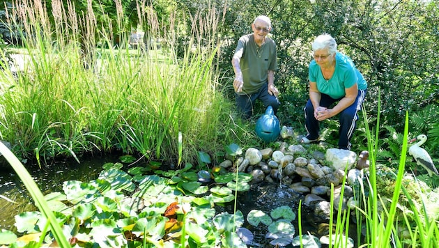 Josef und Mathilde B. sind glücklich, dass ihre Fische nun zutraulicher werden (Bild: Dostal Harald)