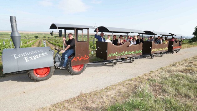 Hannes Kreiler pilotiert seinen Traktor-Zug leidenschaftlich gern durch Purbach und die Weingärten. (Bild: Judt Reinhard)