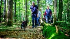 Besuch im Weltnaturerbe: Bundespräsident mit First Dog „Juli“ (Bild: Imre Antal)