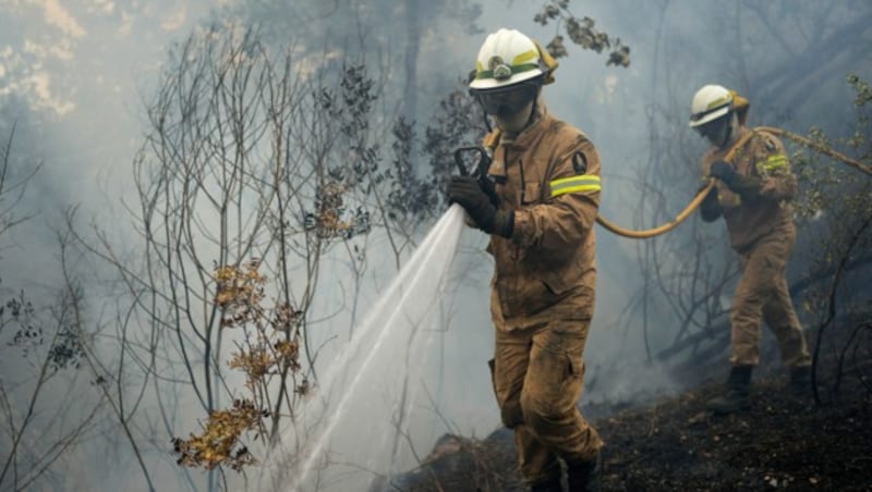 Die Feuerwehrleute in Portugal werden von Waldbränden auf Trab gehalten. (Bild: Associated Press)