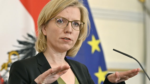 Energieministerin Leonore Gewessler (Grüne) (Bild: APA/HANS PUNZ)