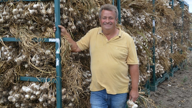 Landwirt Erich Stekovics fährt derzeit die Ernte ein (Bild: Charlotte Titz)