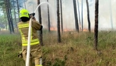 Ein Mitarbeiter der Feuerwehr bei der Brandbekämpfung in Großmittel (Bild: APA/BEZIRKSPRESSETEAM BFKDO WR. NEUSTADT)