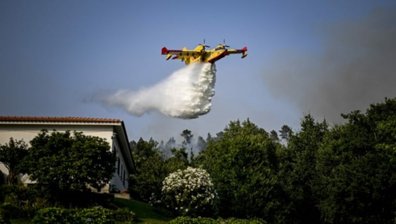 1000 Brandbekämpfer sind gegen die verheerenden Flammen im Einsatz. (Bild: APA/AFP/PATRICIA DE MELO MOREIRA)