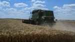 Getreidefeld in der Ukraine (Bild: AFP)