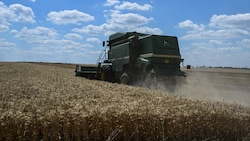 In Kramatorsk in der Region Donezk wird ein Feld gemäht. Die Ukraine wirft Russland schon seit Längerem den Diebstahl von Getreide vor. (Bild: AFP)