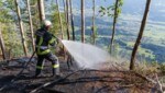 Aufmerksame Wanderer hatten den Waldbrand am Dünserberg - dank des raschen Einsatzes von gleich 80 Feuerwehrleuten konnte das Feuer frühzeitig eingedämmt und Schlimmeres verhindert werden. (Bild: Bernd Hofmeister)