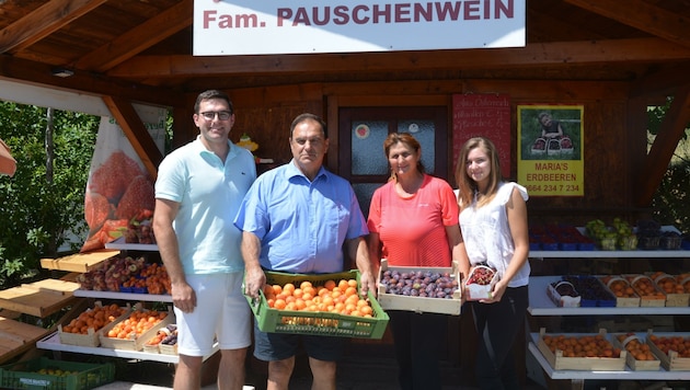 Bei den Pauschenweins gibt es keine Fremdware. Nur hauseigenes Obst kommt zu den Ständen. (Bild: Charlotte Titz)