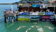 Großartige Stimmung beim 22. Bodensee-Cup der Wasserballer am Bregenzer „Mili“. (Bild: Sams)