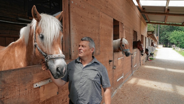 Die Leidenschaft des Oststeirers sind seine 60 Pferde. Er und seine Frau Rachel betreiben den Reit- und Fahrstall Römerhütte. (Bild: Pail Sepp)