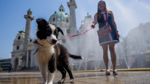 Am Montag wird es kühler, ab Mitte der Woche gibt es wieder bis zu 33 Grad. (Bild: APA/Georg Hochmuth)