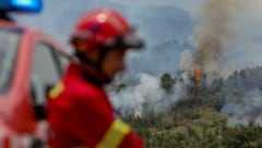 Die Einsatzkräfte versuchen mit aller Kraft der Flammen Herr zu werden - leider gelingt dies nicht immer. (Bild: AFP/PEDRO ROCHA)