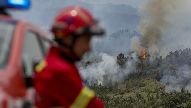 Die Einsatzkräfte versuchen mit aller Kraft der Flammen Herr zu werden - leider gelingt dies nicht immer. (Bild: AFP/PEDRO ROCHA)
