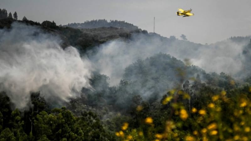 Löscharbeiten in Portugal (Bild: AFP/PATRICIA DE MELO MOREIRA)