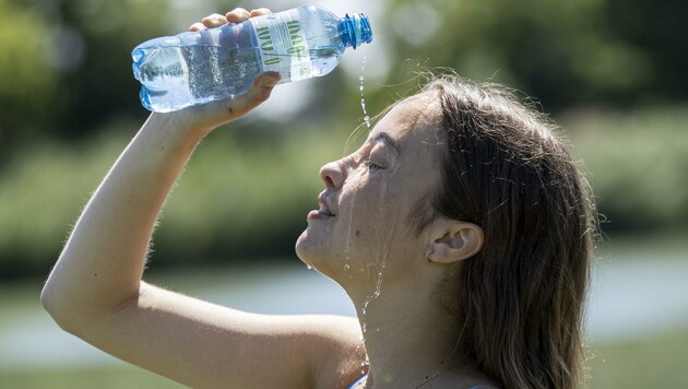 Fruchtiges Eis, oder kühles Nass: Derzeit wird allerorts nach Abküh- lung gesucht. Wie in der Stiftskirche in Lilienfeld bei angenehmen 18 Grad. (Bild: Anika Groß)