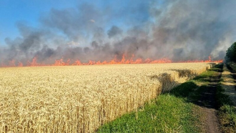 Brennendes Getreidefeld in der Ukraine (Bild: AFP/Ukraine Emergency Service)