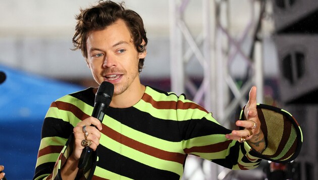 Harry Styles können US-Studenten jetzt studieren (Bild: APA/Dia Dipasupil/Getty Images/AFP)