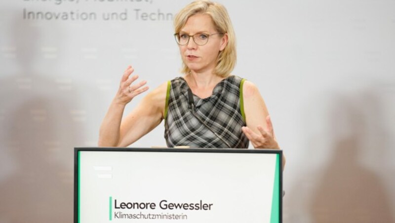 Klimaschutzministerin Leonore Gewessler (Bild: APA/FLORIAN WIESER)