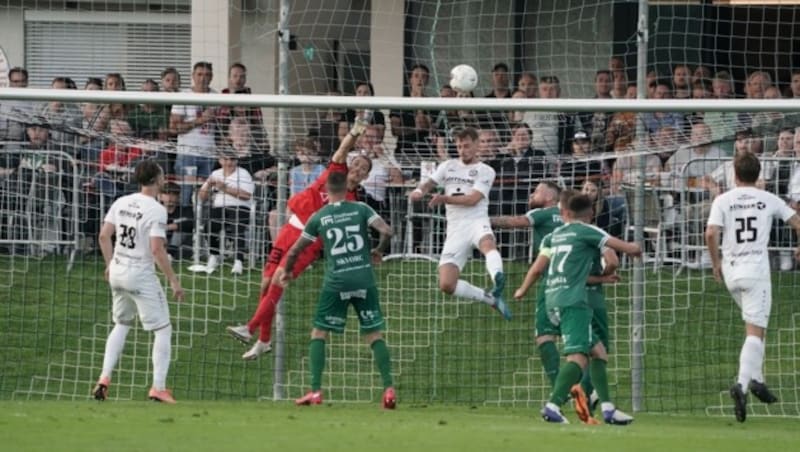 Traditionsklub DSV Leoben mischt in der kommenden Saison in der Regionalliga mit. (Bild: Pail Sepp)