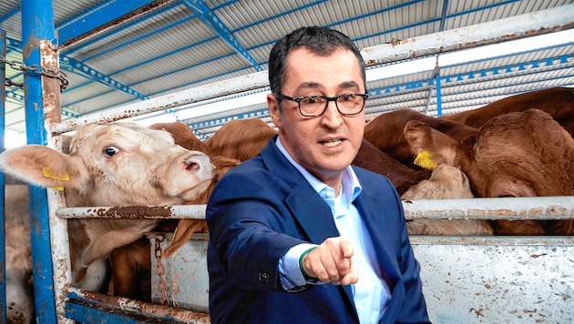 Der deutsche Landwirtschaftsminister Cem Özdemir zeigt Missstände im Tierschutz auf. Das Leid von Tieren bei Transporten muss endlich beendet werden. (Bild: Krone KREATIV, EPA, Jo-Anne McArthur | Eyes on Animals)