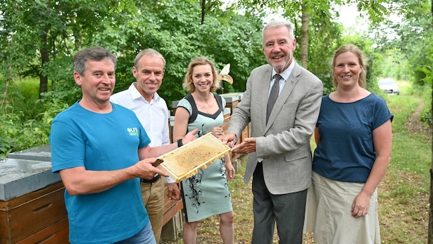 Stadtchef Schneeberger (2. v. re.) und Schulleiter Stückler (2. v. li.) bei den Bienenstöcken im Akademiepark. (Bild: Jürgen Mück)