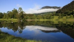 Der Böndlsee (li.) in Goldegg-Weng ist ein kleines Naturparadies. (Bild: Grinzinger Uwe)