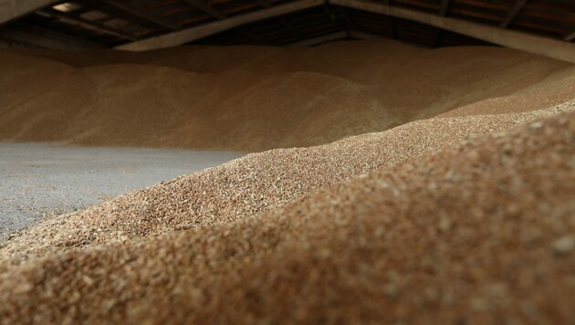Getreide in einem Kornspeicher in Odessa (Bild: AFP)