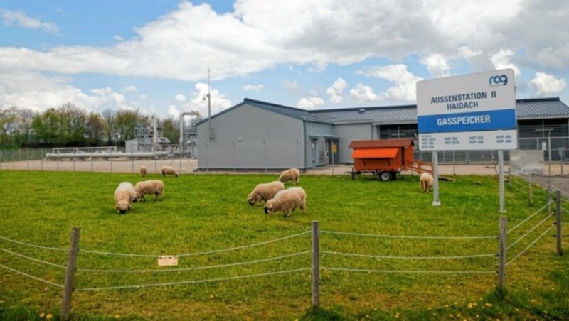 Beschauliche Landschaftspflege in Haidach. Der Speicher der Gazprom-Tochter ist immer noch leer. Deswegen kam es zu einer Gesetzesänderung. (Bild: Markus Tschepp)