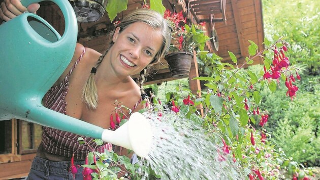 Blumen sollte man in der Früh und am Abend gießen. (Bild: MARTIN A JÖCHL)