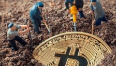 Die 2013 versehentlich weggeworfene Festplatte mit 8000 Bitcoins wäre heute etwa 730 Millionen Euro wert. (Bild: Myst - stock.adobe.com)