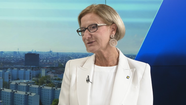 Niederösterreichs Landeshauptfrau Johanna Mikl-Leitner (Bild: krone.tv)