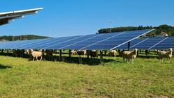 Die Walgauer „Aerocompact Group“ hat sich auf innovative Unterkonstruktionen für Photovoltaikanlagen spezialisiert. (Bild: AER)