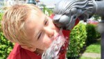 Mehr Trinkwasserbrunnen für die Stadt: Dornbirn reagiert auf den Klimawandel – der Energie-Master-Plan soll der Kommune dabei helfen, klimaneutral zu werden. (Bild: PhotoCredit: Sobe Hermann)