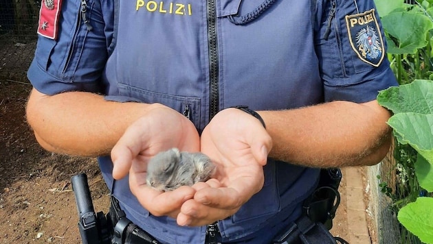 (Bild: Polizei Kärnten)