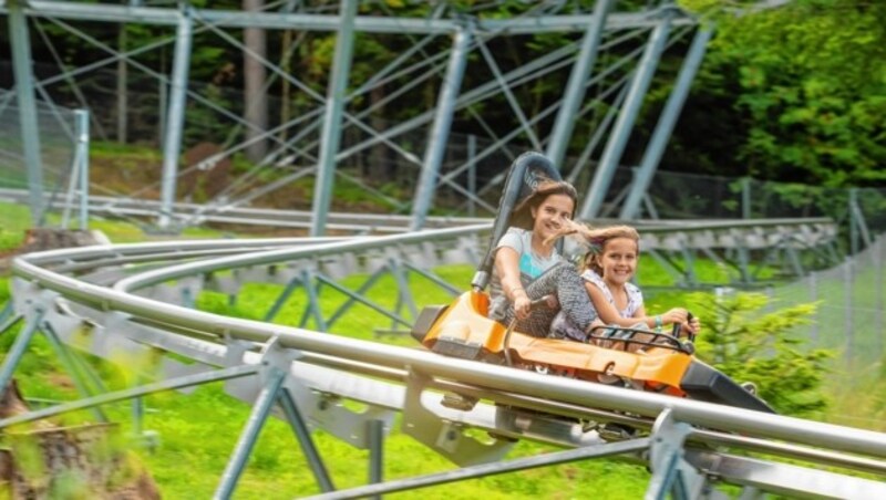 Die Sommerrodelbahn in St. Corona/Wechsel ist mit der NÖ-Card gratis. (Bild: www.fueloep.com)