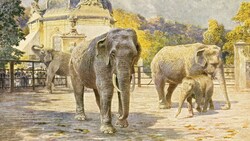 Der Kaiserpavillon um 1910. Damals waren die Elefanten noch dort untergebracht. (Bild: Archiv Tiergarten Schönbrunn)