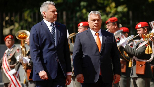 Schon die Begrüßung am Ballhausplatz verlief ungewöhnlich verhalten - Demonstranten empfingen Orbán zudem mit einem Pfeifkonzert. (Bild: AP/Theresa Wey)