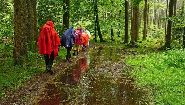 Auch das war der Juli: Wandern mit Poncho im Kobernaußerwald. (Bild: Alois Litzlbauer)
