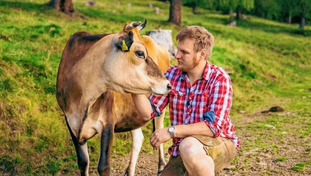 „Hermine“, (3 Jahre alt) eine Jersey-Kuh, grast auf der Hochrindl. (Bild: Kärntnermilch)