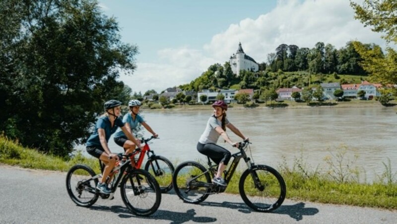 733.445 Radfahrer wurden im Vorjahr auf dem gesamten Donauradweg gezählt. (Bild: WGD Donau Oberösterreich Tourismus GmbH)