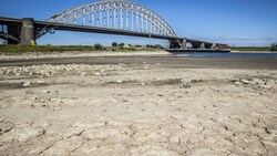 Dürre in Nijmegen (Bild: Vincent Jannink / ANP / AFP)