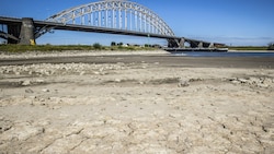 Dürre in Nijmegen (Bild: Vincent Jannink / ANP / AFP)
