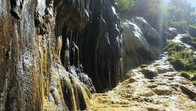 Eisenoxide verleihen dem Kalkgestein an der Subersach bei Lingenau seine honiggelbe bis rostrote Färbung. (Bild: Bergauer Rubina)