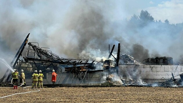 Feuer zerstörte eine Maschinenhalle in Gröming (Bild: Markus Tschepp)