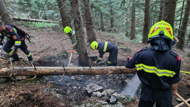 DIe Feuerwehrkameraden konnten den Waldbrand schlussendlich rasch löschen - zum Glück! (Bild: Einsatzdoku.at)