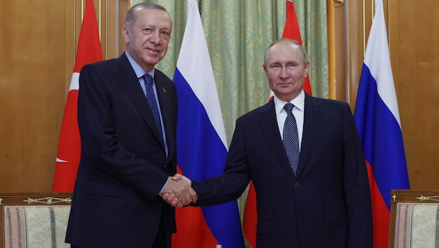 Der russische Präsident Recep Tayyip Erdogan und sein türkischer Amtskollege Wladimir Putin (v. l.) (Bild: AP)