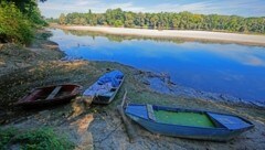 Niedrigwasser am Rhein - sinkt der Pegel weiter, können bald keine Schiffe mehr fahren. (Bild: EPA)