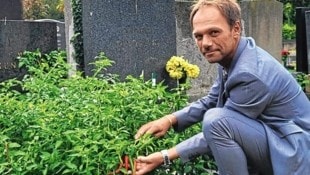 Friedhofsverwalter Walter Pois zeigt der „Krone“ stolz seine heurige Pfefferoni-Ernte und hofft ...